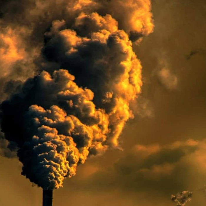 3 Tips for You to Test Your Air Purifier | ElitechEU