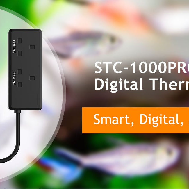 How to Choose a Temperature Controller? | ElitechEU