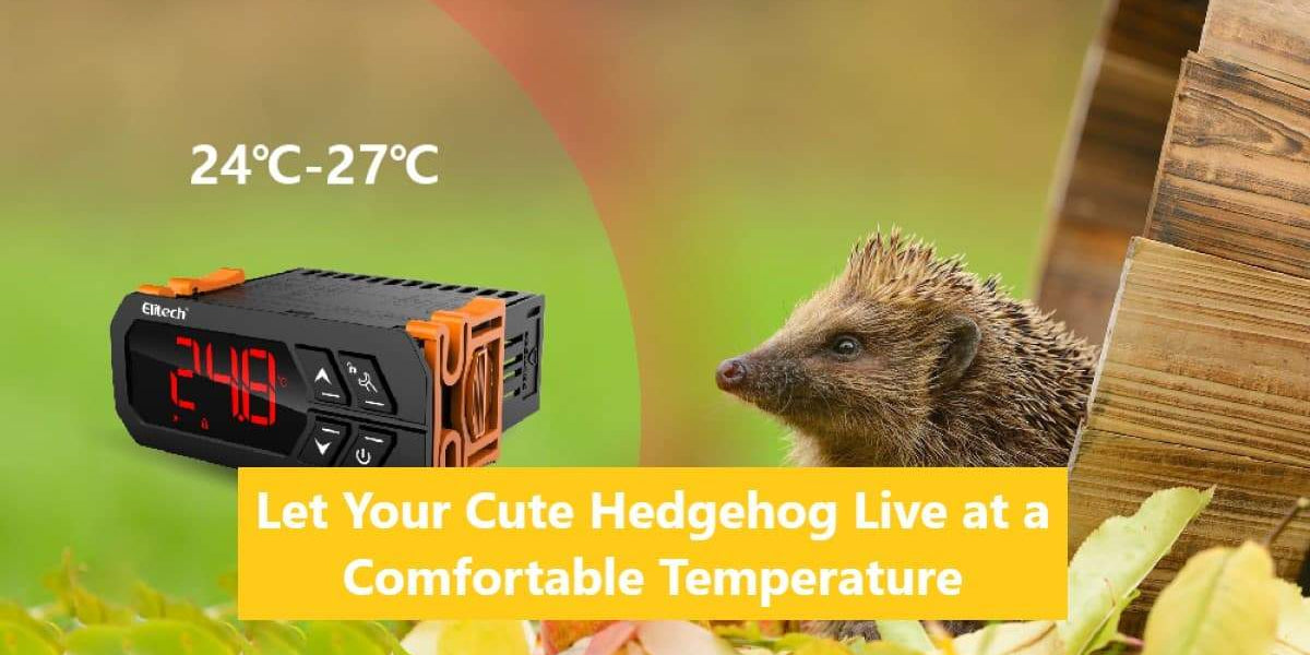 Let Your Cute Hedgehog live at a Comfortable Temperature — ElitechEU