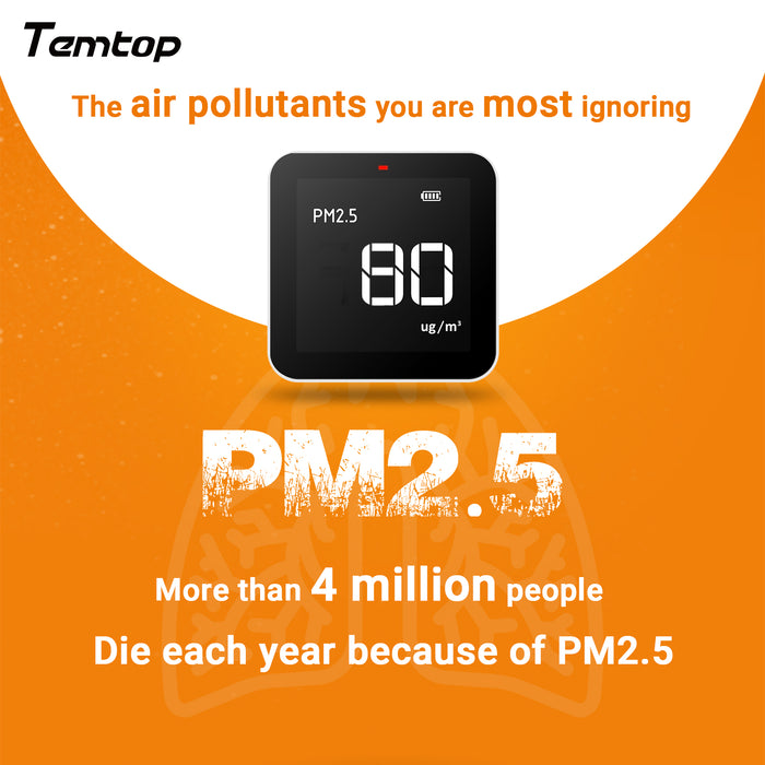 Monitor di qualità dell'aria Temtop P10 per PM2.5 AQI, rilevatore di sensori di particelle laser professionale